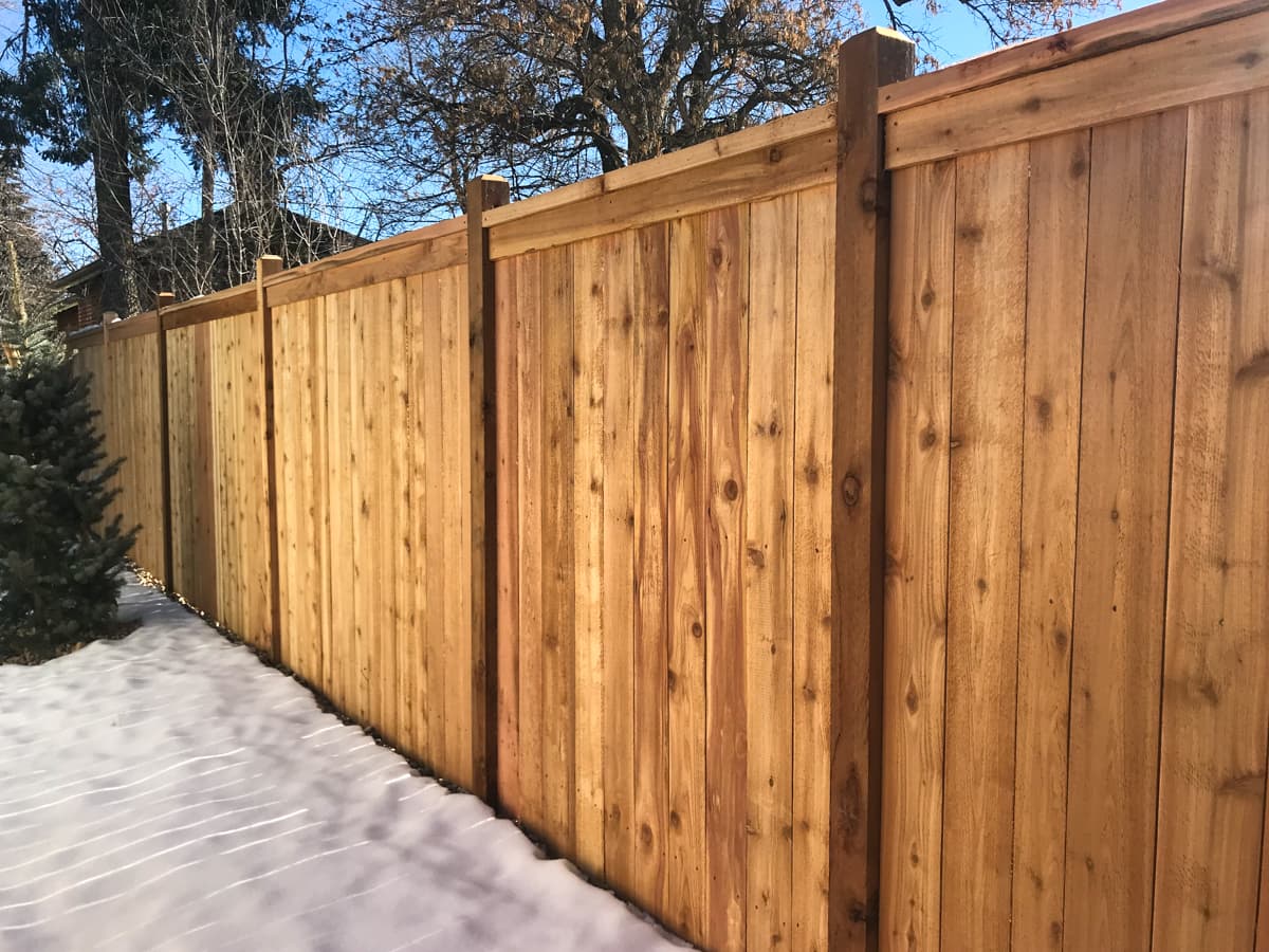 Staining Services in Allen, TX
